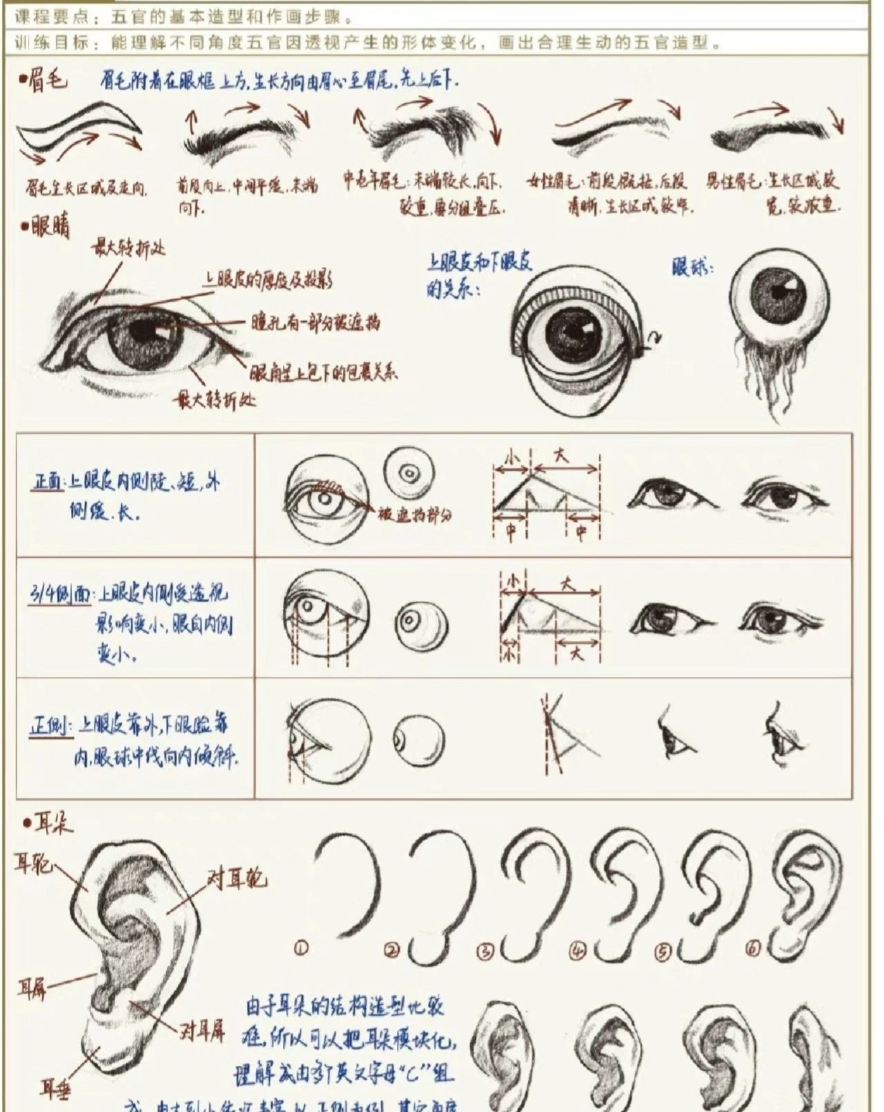9d6a8f01f2bdb411dd93e6aab6f232e7_.jpg